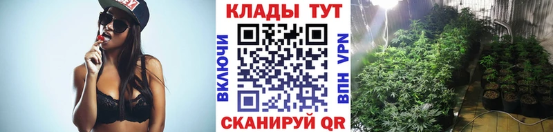 Купить наркоту Тосно Галлюциногенные грибы МЕФ Cocaine А ПВП ГАШ Марихуана