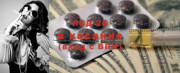 ПСИЛОЦИБИНОВЫЕ ГРИБЫ Елабуга