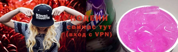 spice Ельня