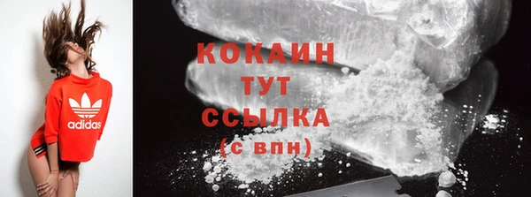хмурый Дмитров