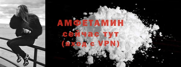 spice Ельня