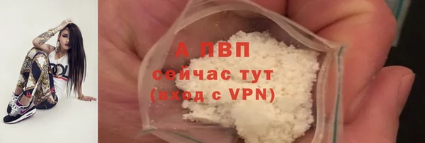 крисы Елизово