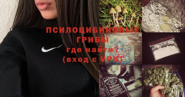 крисы Елизово