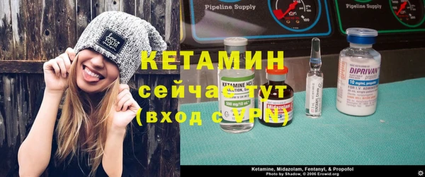 хмурый Дмитров