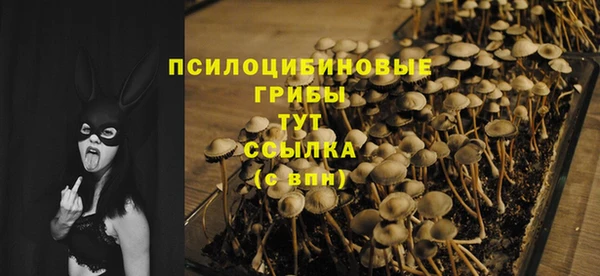 альфа пвп Дмитровск