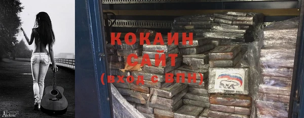 хмурый Дмитров