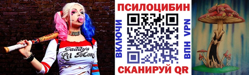 где найти   ссылка на мегу вход  Псилоцибиновые грибы прущие грибы  Тосно 